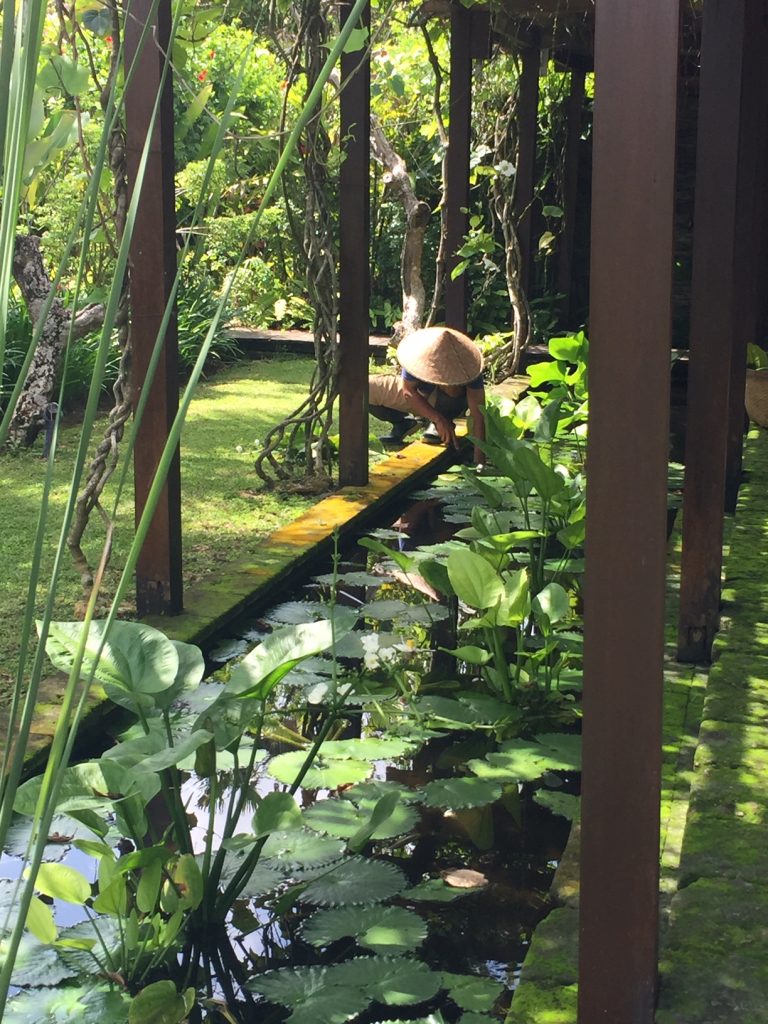 Indonesian Design Inspiration - Villa Mary Garden landscaping